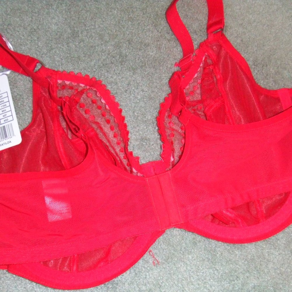 Elomi MATILDA Red Mesh Bra & Goddess KAYLA Panty - Picture 9 of 11